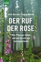 bokomslag Der Ruf der Rose