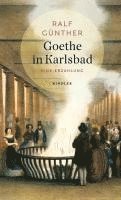 bokomslag Goethe in Karlsbad