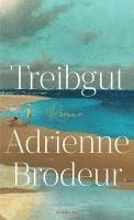 bokomslag Treibgut