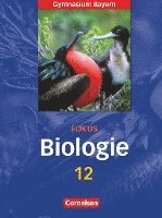 bokomslag Fokus Biologie 12. Jahrgangsstufe. Schülerbuch. Oberstufe Gymnasium Bayern