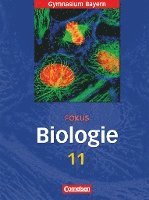 bokomslag Fokus Biologie 11. Schülerbuch - Gymnasium Bayern