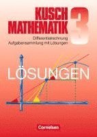 bokomslag Mathematik. Lösungsbuch zu Teil 3: Differentialrechnung