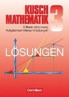Mathematik. Lösungsbuch zu Teil 3: Differentialrechnung