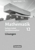 bokomslag Mathematik Sekundarstufe II 12. Schuljahr - Lösungen - Sachsen-Anhalt