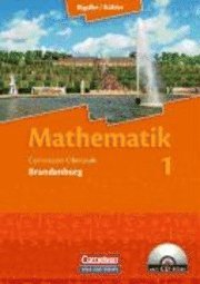 Lernstufen Mathematik. Grundkurs Qualifikationsphase. Schülerbuch. Neues Kerncurriculum. Brandenburg 1