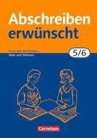 bokomslag Abschreiben erwunscht