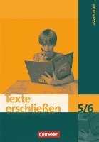 bokomslag Texte erschließen 5./6. Schuljahr. Arbeitsheft mit Lösungen