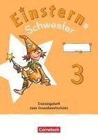 bokomslag Einsterns Schwester - Sprache und Lesen 3. Schuljahr. Training Grundwortschatz und Grammatik - Verbrauchsma