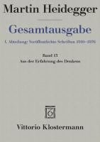 bokomslag Gesamtausgabe Abt. 1 Veröffentlichte Schriften Bd. 13. Aus der Erfahrung des Denkens