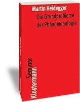 bokomslag Die Grundprobleme Der Phanomenologie