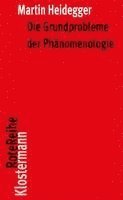 bokomslag Die Grundprobleme Der Phanomenologie