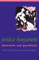 Jessica Benjamin - Phantasie und Geschlecht, Häftad
