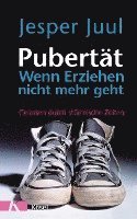 Pubertät - wenn Erziehen nicht mehr geht