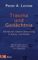 bokomslag Trauma und Gedächtnis