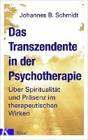 bokomslag Das Transzendente in der Psychotherapie