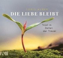 bokomslag Die Liebe bleibt