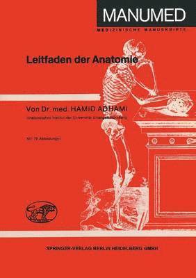 bokomslag Leitfaden Der Anatomie