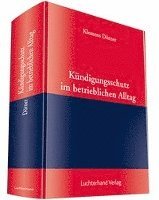 bokomslag Kündigungsschutz im betrieblichen Alltag