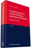 bokomslag Auslandsentsendung und Beschäftigung ausländischer Mitarbeiter