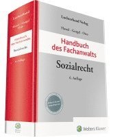 Rupert Hassel, Detlef Gurgel, Sven-Joachim Otto - Handbuch des Fachanwalts Sozialrecht, Inbunden
