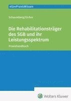 bokomslag Die Rehabilitationsträger des SGB und ihr Leistungsspektrum