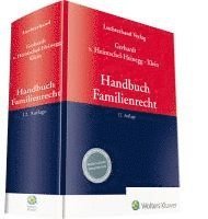 bokomslag Handbuch Familienrecht