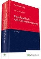 Praxishandbuch Arbeitnehmerüberlassung 1