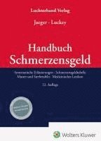 Handbuch Schmerzensgeld 1