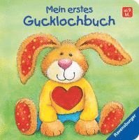 bokomslag Mein erstes Gucklochbuch