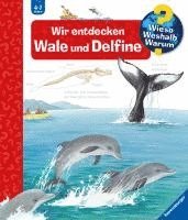 bokomslag Wieso? Weshalb? Warum?, Band 41: Wir entdecken Wale und Delfine