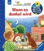 bokomslag Wieso? Weshalb? Warum? junior, Band 28: Wenn es dunkel wird