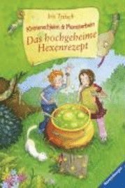 bokomslag Krötenschleim & Monsterbein 01: Das hochgeheime Hexenrezept