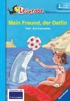 bokomslag Mein Freund, der Delfin - 2. Klasse