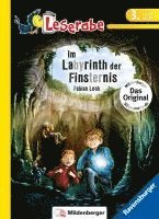 bokomslag Im Labyrinth der Finsternis - Leserabe 3. Klasse - Erstlesebuch für Kinder ab 8 Jahren