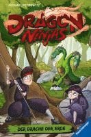 bokomslag Dragon Ninjas, Band 4: Der Drache der Erde