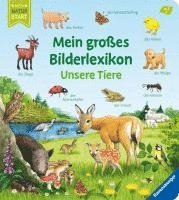 bokomslag Mein großes Bilderlexikon: Unsere Tiere