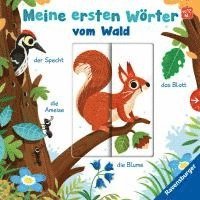 bokomslag Meine ersten Wörter vom Wald - Sprechen lernen mit großen Schiebern und Sachwissen für Kinder ab 12 Monaten