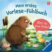 bokomslag Mein erstes Vorlese-Fühlbuch: Bist du eine Ente? Eine erste Geschichte mit Fühlteilen für Kinder ab 18 Monaten, Kinderbuch