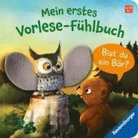 bokomslag Mein erstes Vorlese-Fühlbuch: Bist du ein Bär?