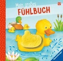 bokomslag Mein großes Fühlbuch - Spielbuch ab 18 Monaten, Bilderbuch, Entdeckerbuch