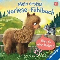 bokomslag Mein erstes Vorlese-Fühlbuch - Bist du eine Katze?