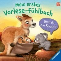 Kathrin Lena Orso - Mein erstes Vorlese-Fühlbuch - Bist du ein Koala?, Kartonnage