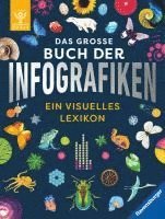 bokomslag Das große Buch der Infografiken. Wissen für Kinder ab 8 Jahren - Schauen, staunen, Neues lernen