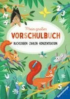 bokomslag Mein großes Vorschulbuch: Buchstaben Zahlen Konzentration