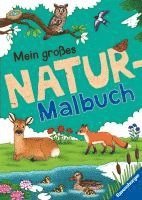 bokomslag Mein großes Natur-Malbuch