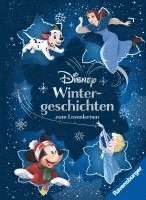 bokomslag Disney - Wintergeschichten zum Lesenlernen