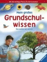 bokomslag Mein großes Grundschulwissen