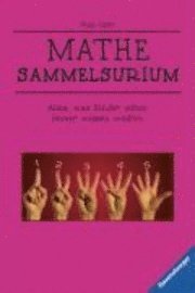 bokomslag Mathe-Sammelsurium