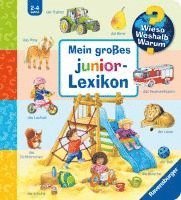 bokomslag Wieso? Weshalb? Warum? Sonderband - Mein großes junior-Lexikon