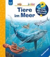 Anita van Saan - Wieso? Weshalb? Warum? junior, Band 57 - Tiere im Meer, Häftad